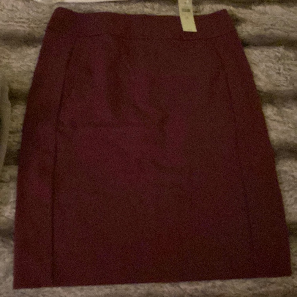 Brand New Ann Taylor Pencil Skirt